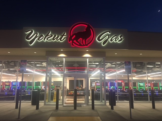 ygs-full-front-_1