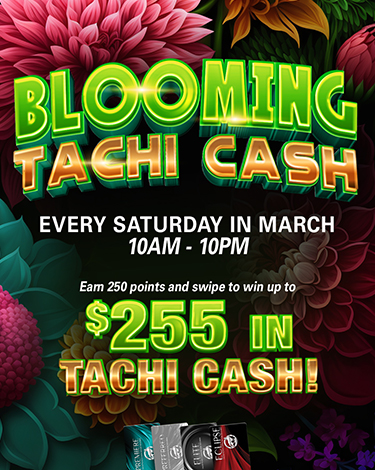 BloomingTachiCash-375x470-1