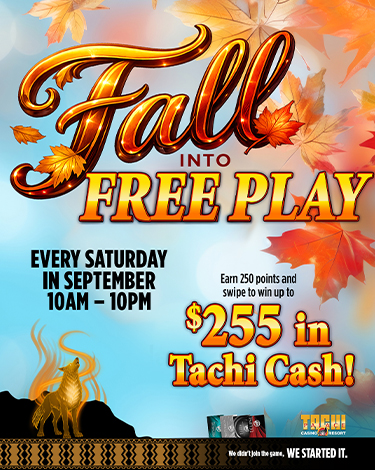 FallIntoFreePlay-375x470-1