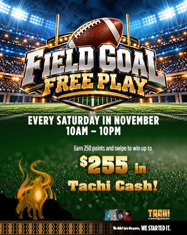 Field-Goal-FreePlay_Nov2026-375x470-1